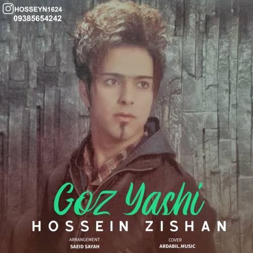 حسین ذیشان گوز یاشی
